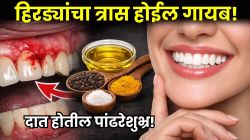 हिरड्यातून रक्त येणार नाही, सूज होईल गायब! फक्त मोहरीच्या तेलात ‘या’ गोष्टी मिसळून हलक्या हाताने चोळा; पिवळेधम्मक व काळे दात मोत्यांसारखे होतील पांढरेशुभ्र