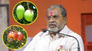 Konkan Mango Cashew Damage News | कोकणातील आंबा काजू पिकाचे नुकसान आणि राजू शेट्टी यांचा मोर्चा