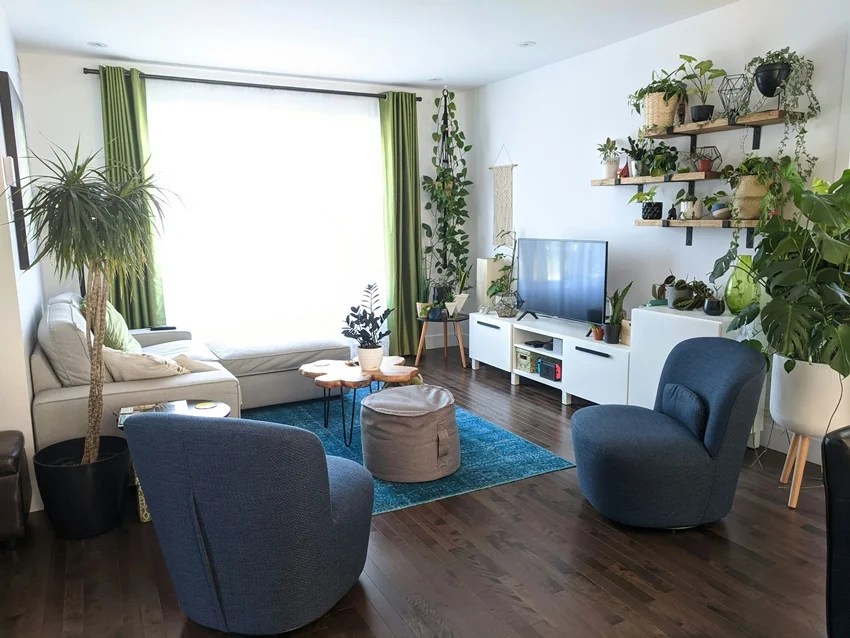 natural ways to beat heat at home indoor plants to keep house cool without AC