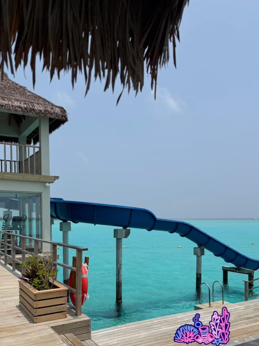 Rohit Sharma Maldives Family Trip