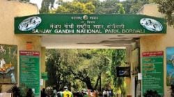 संजय गांधी उद्यानात सगळ्यांच्या गाड्यांना प्रवेश, मग नगरसेवकांच्या गाड्यांनाच प्रवेश बंदी का? मुंबई महापालिकेच्या नगरसेवकांचा सवाल…