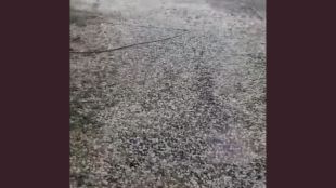 unseasonal-rain-and-hailstorm-hit-phaltan-maan-and-koregaon-talukas-of-satara-crops-damaged