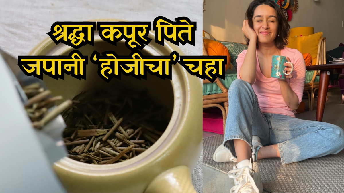 श्रद्धा कपूर रात्री कॉफीऐवजी पिते जपानी ‘होजीचा’ चहा; झोप आणि पचनासाठी खरंच फायदेशीर आहे का?