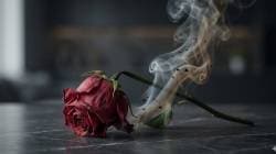 Tobacco Nicotine Sexual Health Impotence Warning: तंबाखूतील निकोटिनमुळे कामभावनाच कशी कायमची नष्ट होऊ शकते?; नपुंसकतेचा धोका का वाढतो? त्यामागचे विज्ञान काय?