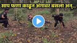 सापाची शेपटी पकडून करत होता हिरोपंती; फण काढून अंगावर बसला अन्…; पाहा धडकी भरवणारा VIDEO