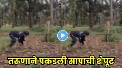 काय गरज होती एवढं धाडस करण्याची? तरुणाने सापाची शेपूट पकडली, सापाने केला जोरदार पलटवार; Video पाहून अंगावर येईल काटा!