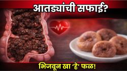 आतड्यांमध्ये कुजलेली घाण येईल बाहेर, दररोज पाण्यात भिजवून खा ‘हे’ फळ; हार्ट अटॅक येण्याची शक्यता होईल कमी