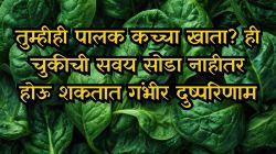पालक आरोग्यासाठी वरदान; पण कच्चा खाणे ठरू शकते नुकसानकारक – तज्ज्ञांनी दिला इशारा