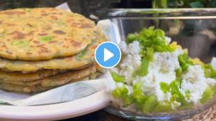 Summer special paratha recipe