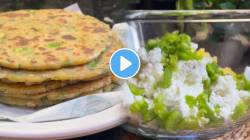 बटाटे, पनीर आणि कोथिंबीरीचा पौष्टिक पराठा! १५ मिनिटांत तयार होईल सकाळचा कुरकुरीत नाश्ता; पाहा रेसिपी