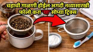 Tea Strainer Cleaning tricks and hacks