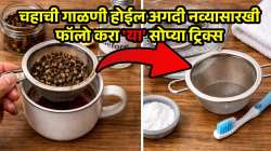 चहाची गाळणी रोज वापरून काळीकुट्ट झालीय? मग वापरूनच पाहा ‘या’ सोप्या ट्रिक्स; गाळणी होईल अगदी नव्यासारखी
