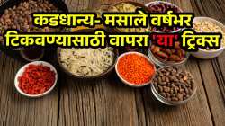कडधान्य-मसाल्यात कधीच लागणार नाही कीड, पडणार नाही अळ्या; वर्षभर टिकवण्यासाठी वापरा ‘या’ ट्रिक्स