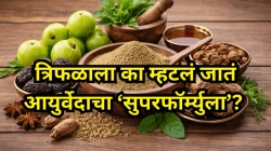 त्रिफळाला का म्हणतात आयुर्वेदाचा ‘सुपरफॉर्म्युला’? पचनापासून हृदय आणि इम्युनिटीपर्यंत जाणून घ्या त्याचे जबरदस्त फायदे
