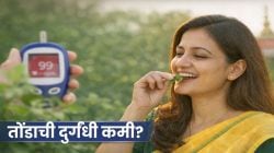 ब्लड शुगर वाढणार नाही, तोंडातून घाण वास नाही येणार, सकाळी ‘ही’ ३-४ पानं चघळा; पोट होईल झटक्यात साफ, गॅस, ॲसिडिटी गायब