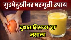 हाडांची सूज आणि सांधेदुखी त्रास देतेय? झोपण्यापूर्वी दुधात मिसळून प्या ‘हा’ स्वयंपाकघरातील पदार्थ; हाडांसाठी रामबाण उपाय