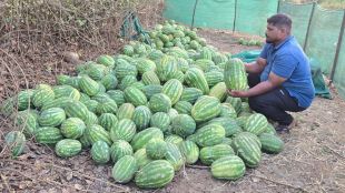 gulf-war-hits-watermelon-exports-from-raigad-farmers-in-financial-crisis