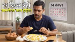 सलग १४ दिवस अंडी खाल्ल्यास कोणत्या अवयवांना फायदा होतो? संपूर्ण अंड खावं की फक्त पांढरा भाग; डॉक्टर काय म्हणतात वाचा