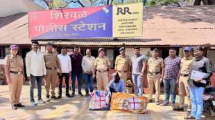 Satara Opium Cultivation Case Shirwal Police Arrest Farmer | साताऱ्यात अफूची लागवड शिरवळ पोलीस कारवाई शेतकरी अटक