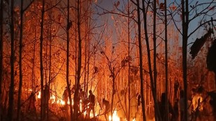 Yavatmal, Yavatmal News, Forest Fire, Holi 2026, Eco-friendly Holi, Savitri Jyotirao College Yavatmal, Maharashtra Forest Department,