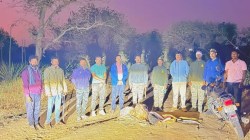 अहिल्यानगर : हरणाची शिकार करणारी टोळी कर्जतमध्ये निष्पन्न; दोन हरणांचे प्राण पोलिसांनी वाचवले