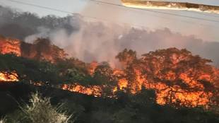 Belapur Hill Fire Navi Mumbai | बेलापूर टेकडी वणवा नवी मुंबई पारसिक डोंगर