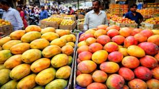 Mango prices in Jalgaon market | जळगाव बाजारपेठ आंबा दर | Badam and Lalbagh mango arrival | केरळमधील आंबा जळगावमध्ये दाखल