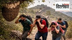 Honey Bee Attack: मधमाश्या अचानक हल्ला का करतात? ‘या’ ५ चुका पडू शकतात महागात; ‘हे’ छोटे बदल वाचवू शकतात तुमचा जीव!