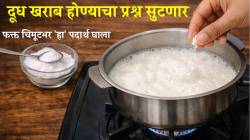 कच्चं सोडा तापवलेलं दूधही अनेकदा नासतं? मग दूध गरम करताना चिमूटभर ‘हा’ पदार्थ घाला; उन्हाळ्यात नासणारं नाही दूध