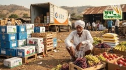 खबर पीक पाण्याची : नगण्य कृषी निर्यातीला युद्ध झळा