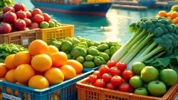 निर्यातक्षम शेतीमालासाठी अपेडाचा ‘हा’ निर्णय