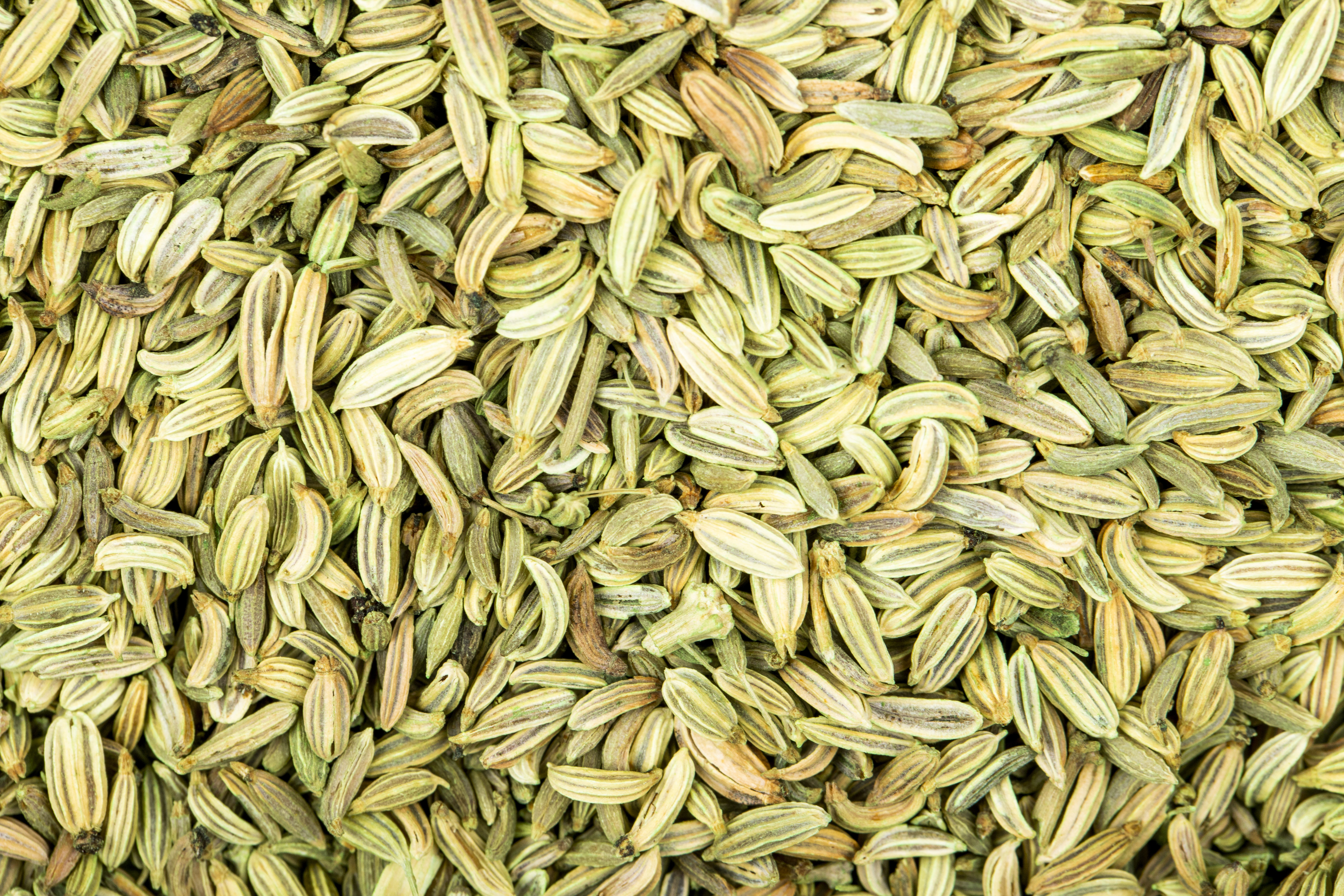 drink fennel badishep water daily in the morning benefits