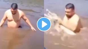 baby crocodile viral video