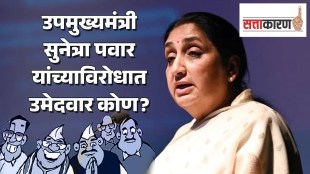 Baramati Assembly Bypoll Voter List Sunetra Pawar | बारामती विधानसभा पोटनिवडणूक मतदार यादी सुनेत्रा पवार