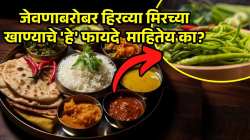 रोज जेवणाबरोबर दोन हिरव्या मिरच्या खाल्ल्यास शरीरात दिसतात ‘हे’ ३ मोठे बदल; आहारतज्ज्ञांनी केलं स्पष्ट