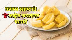 उन्हाळ्यात फणस खाणं खरचं फायदेशीर आहे का? ‘या’ ४ लोकांना मिळतील जबरदस्त फायदे