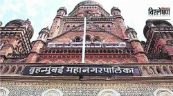 विश्लेषण : मुंबई महापालिकेला ग्रीन बॉण्ड्समधून खरोखर फायदा होणार का? काय आहेत ग्रीन बॉण्ड्स?