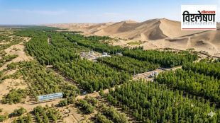 China Great Green Wall project images | Taklamakan Desert greening initiative | China reforestation carbon sink study | Three-North Shelter Forest Program Xinjiang