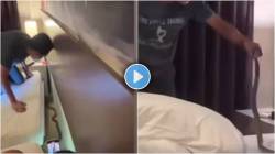 Cobra in Thailand hotel viral snake video: थायलंडच्या हॉटेलमध्ये जोडप्याच्या बेडशेजारीच फणा काढून बसला होता नाग, दाम्पत्याचा थरारक VIDEO व्हायरल