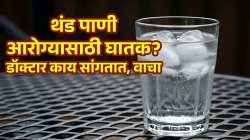 उन्हाळ्यात थंड पाणी पिणं आरोग्यासाठी खरंच घातक आहे का? वाचा, आरोग्य तज्ज्ञ काय सांगतात