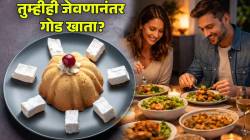 जेवल्यानंतर गोड खावंसं वाटतं? मग ‘ही’ ५ महत्वाची कारणं लक्षात ठेवा; दुर्लक्ष न करता उपाय लक्षात ठेवा