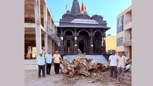 eco-friendly-holi-tradition-in-umarane-malegaon-prevents-tree-cutting-for-20-years