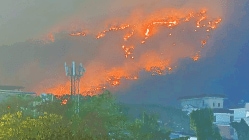 अन्वयार्थ : पर्यावरणदुष्टतेच्या वणव्याची झळ…