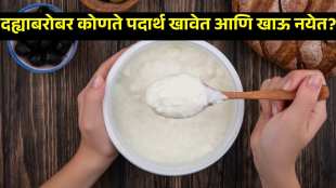 food combinations with curd