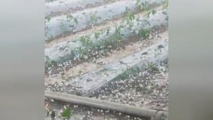 nashik-unseasonal-rain-hailstorm-malegaon-boy-death-baglan-sinnar-crops-damage-weather-update