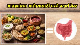 home made food best for gut health