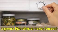 एप्रिल, मे महिन्यात घरातील फ्रीजचं तापमान कोणत्या नंबरवर ठेवायचं? सेटिंगमध्ये करा ‘हा’ बदल…