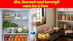 शिळं अन्न, भाज्या आणि फळ; फ्रीजमध्ये ठेवण्यापूर्वी लक्षात ठेवा हे ५ नियम; नाहीतर टिकण्याएवजी होतील खराब