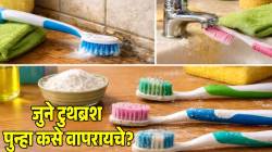 जुन्याचा नवीन वापर! जुने झालेले टुथब्रश फेकून नका देऊ; ‘या’ ४ पद्धतीने पुन्हा करा वापर