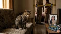 Hyderabad Doctor Suicide Pet Cat Dispute : घरच्यांनी मांजर पाळण्यास दिला नकार, डॉक्टर तरुणीने घेतला टोकाचा निर्णय; धक्कादायक घटनेने हळहळ